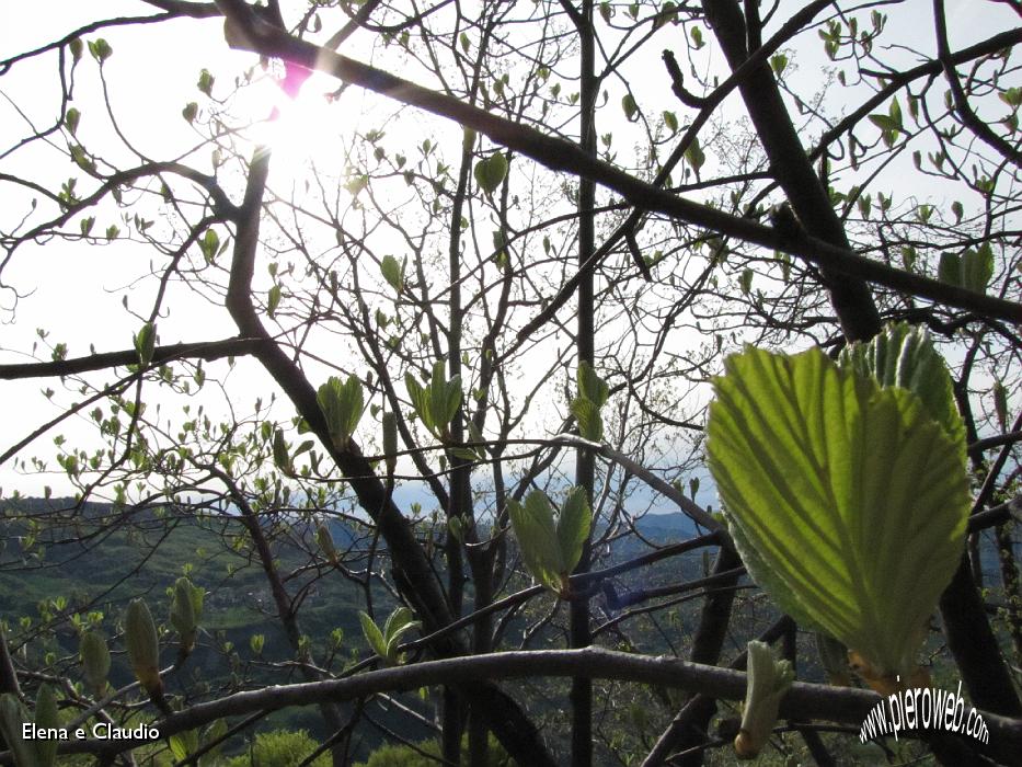 03 Inizia adesso la primavera.JPG